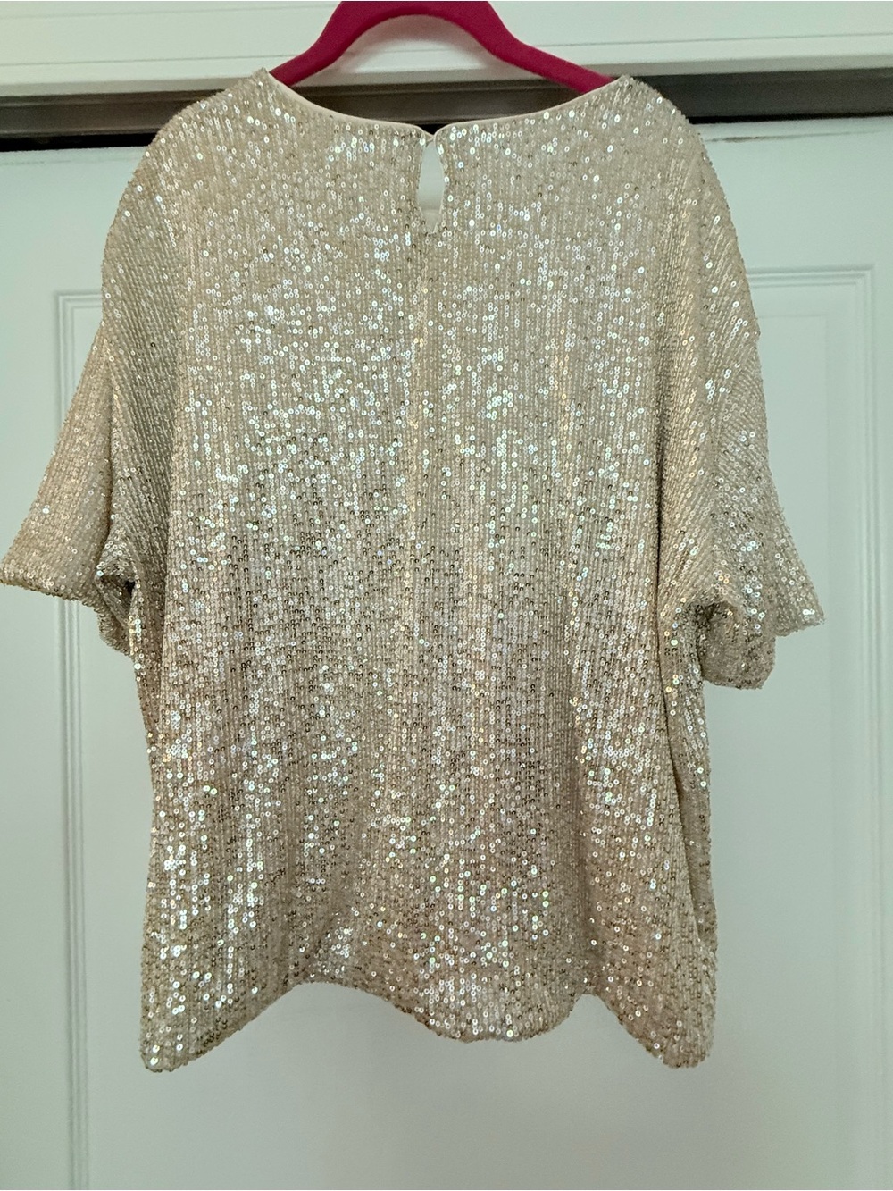 H & M Sequin Short Sleeve Party Top - Champagne